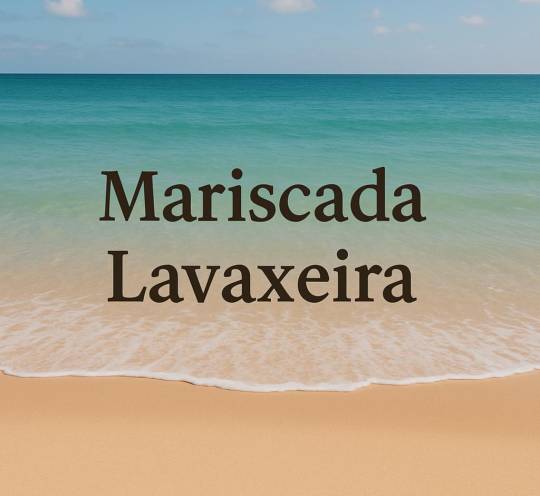 MARISCADA LAVAXEIRA